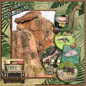 Animal Kingdom 06252019