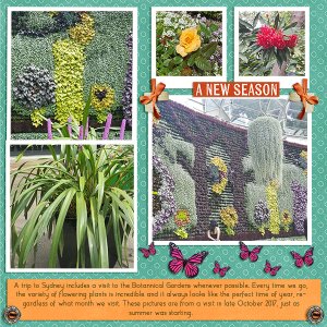 Sydney Botanical Gardens
