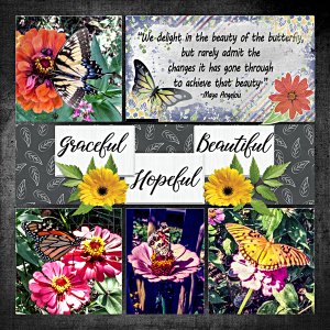 Butterflies 2019