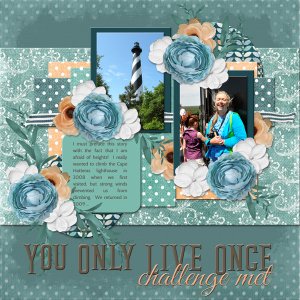 YOU ONLY LIVE ONCE