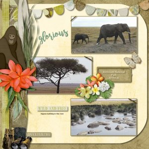 Wild Things