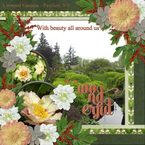With beauty all around us... life is WONDERFUL