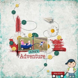 A Boy's Adventure