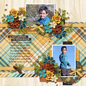 T. autumn falling 1