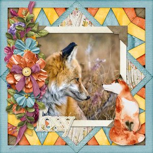 Foxy