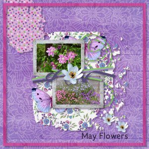 May Flowers