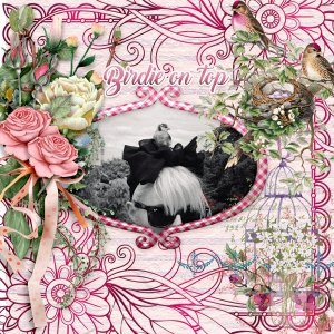 600-adbdesigns-blessing-birdsong-pia-02