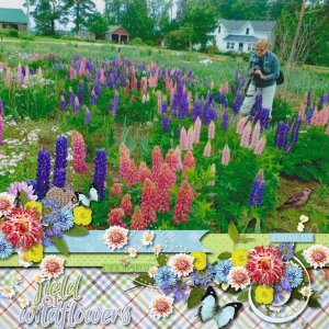 Wildflowers