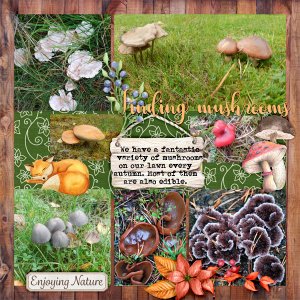 Finding-mushrooms