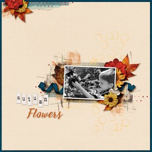 Autumn Flower