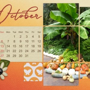 Desktop oct