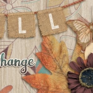 FB Header Fall