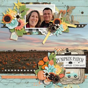 Pumpkin Patch