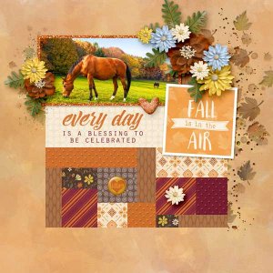 Autumn Hues