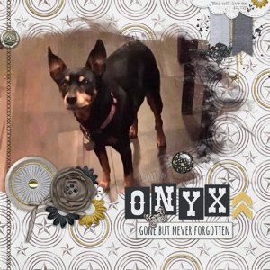 Onyx