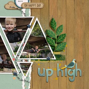 Up High