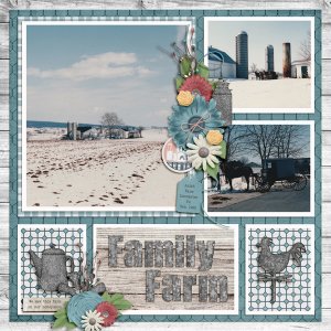 Family Farm
