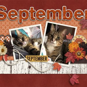Sept 2020 Calendar