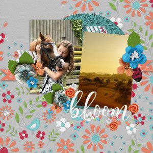 Bloom27