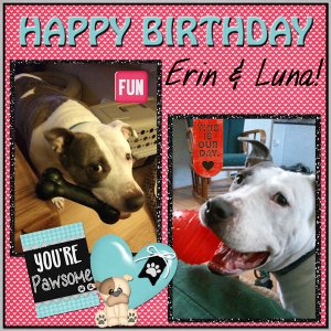 Happy Birthday Erin and Luna