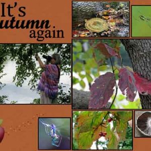 It's Autumn again