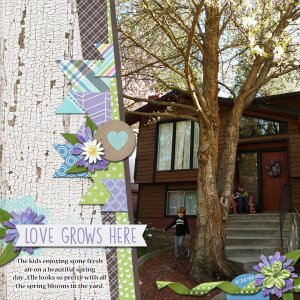 Love Grows Here