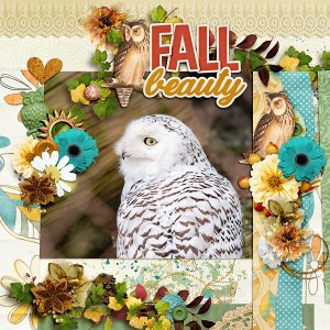 Fall Beauty