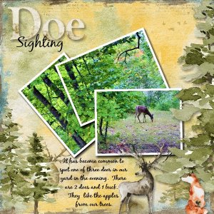 Doe Sighting