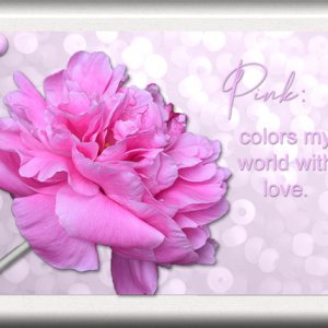ATC 2019-112 Pink