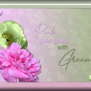 ATC 2019-113 Pink + Green