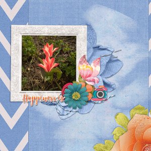 19-09-createdwithrewards-small