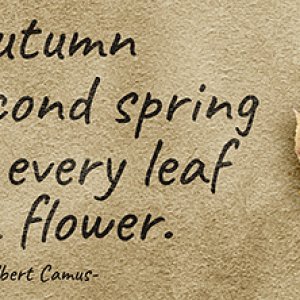 FacebookHeader - Autumn