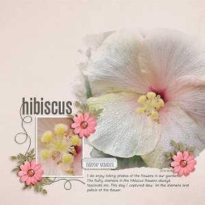 Hibiscus - Template 1 challenge