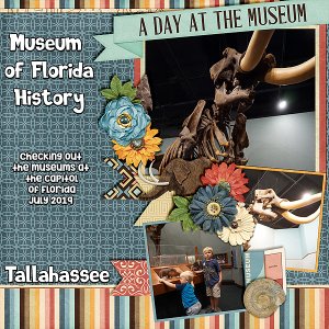 fl-hist-mus