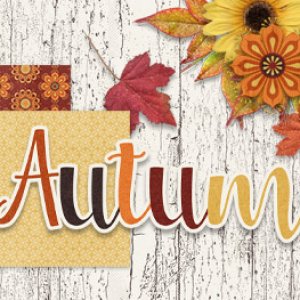 Autumn 2019 FB Timeline Cover