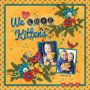 We Love Kittens