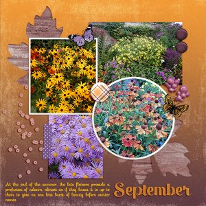 Floral Profusion