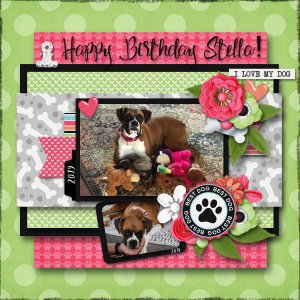 Stellas Birthday