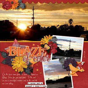 Blaze of Color