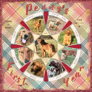 Misc-PennysFirstYear2018