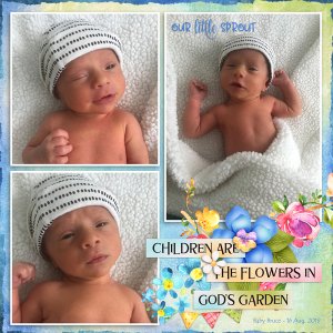 Baby Bruce - Our Little Sprout