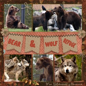 Bear + Wolf Refuge