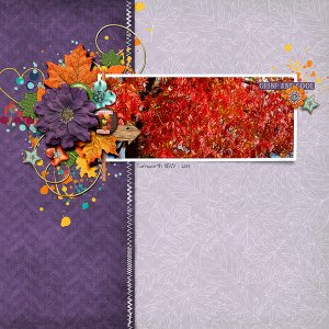 CHANGING LEAVES