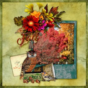 DD-PD-Sept19-Pippin-01
