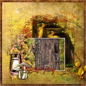 Squirrel-play1