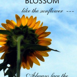 Set Your Soul to Blossom