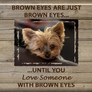 Brown Eyes