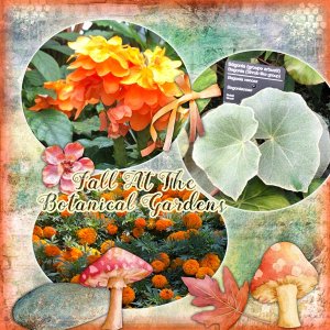 Fall Botanical Gardens