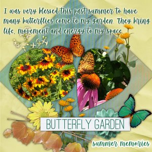 Butterfly Garden
