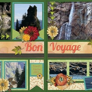 Bon Voyage